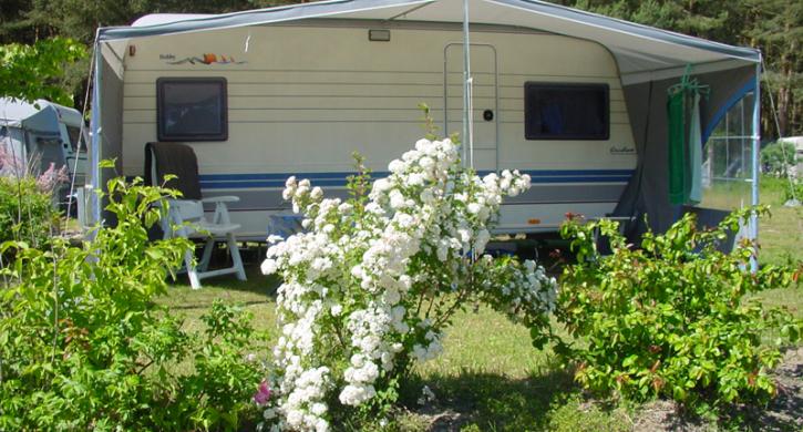 Campingplatz Usedom