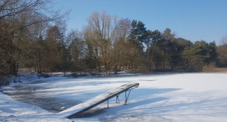 CIG; Wintertraum