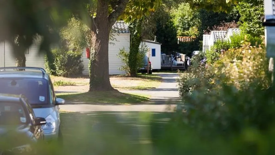 Camping Les Saules