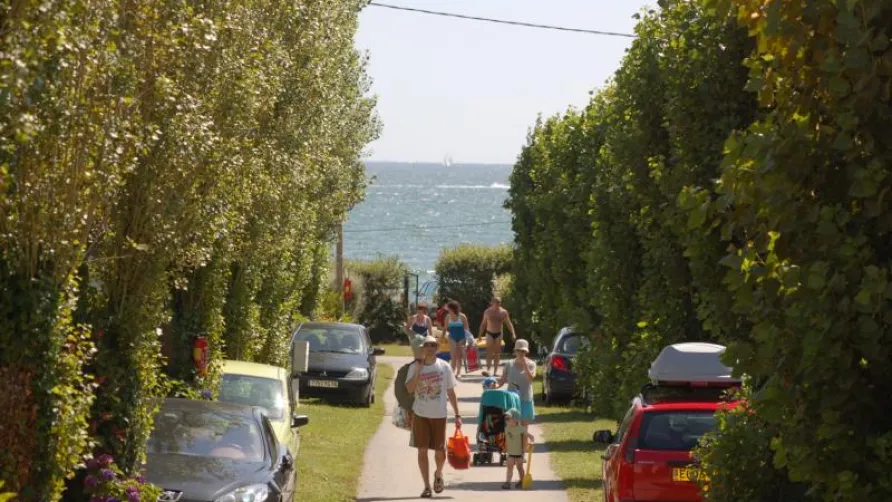 Camping Les Saules