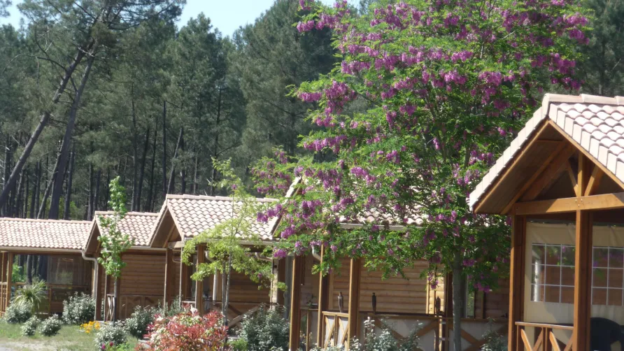 Camping LANDES OCEANES