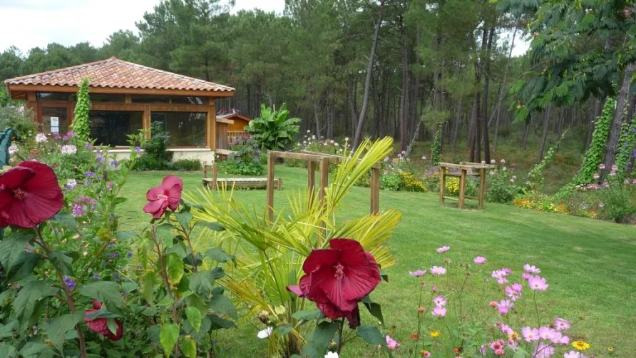 Camping LANDES OCEANES