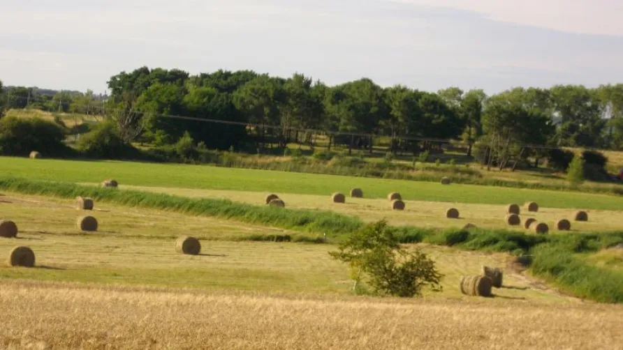 Camping Les Vignes