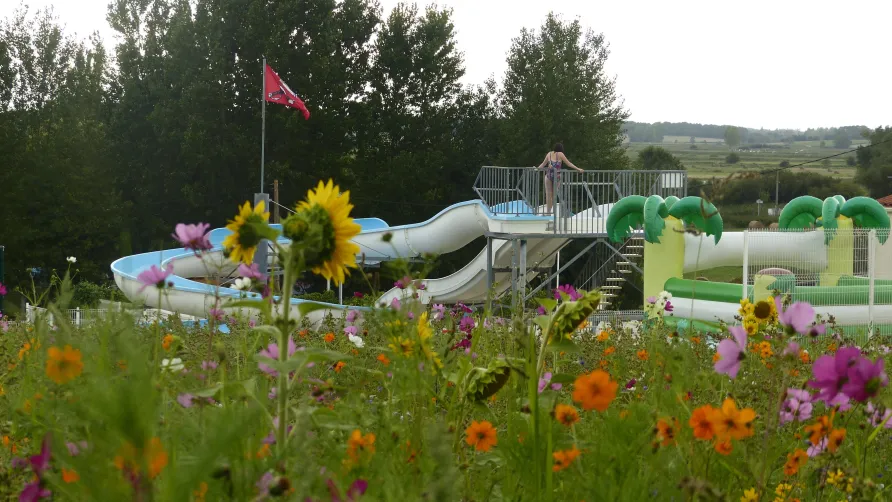 Camping Les Vignes