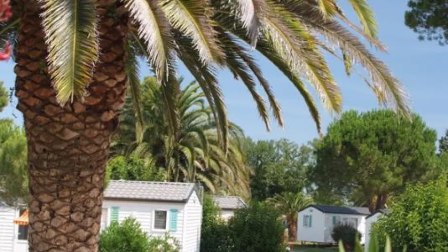 Camping Paradis le Pearl