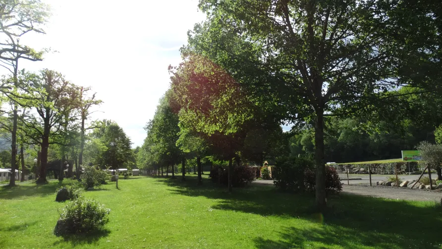 Camping A l'Ombre des Tilleuls