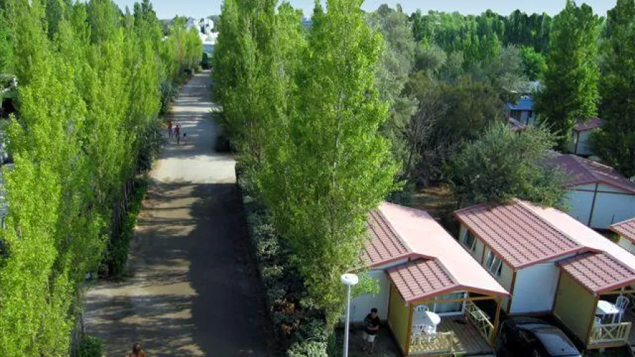 Camping L'ESPIGUETTE