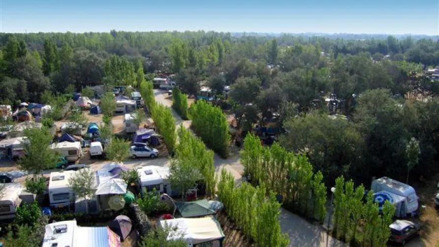 Camping L'ESPIGUETTE