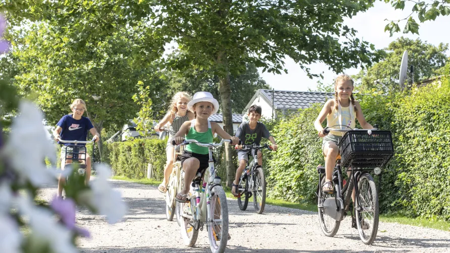 Familiecamping De Molenhoek