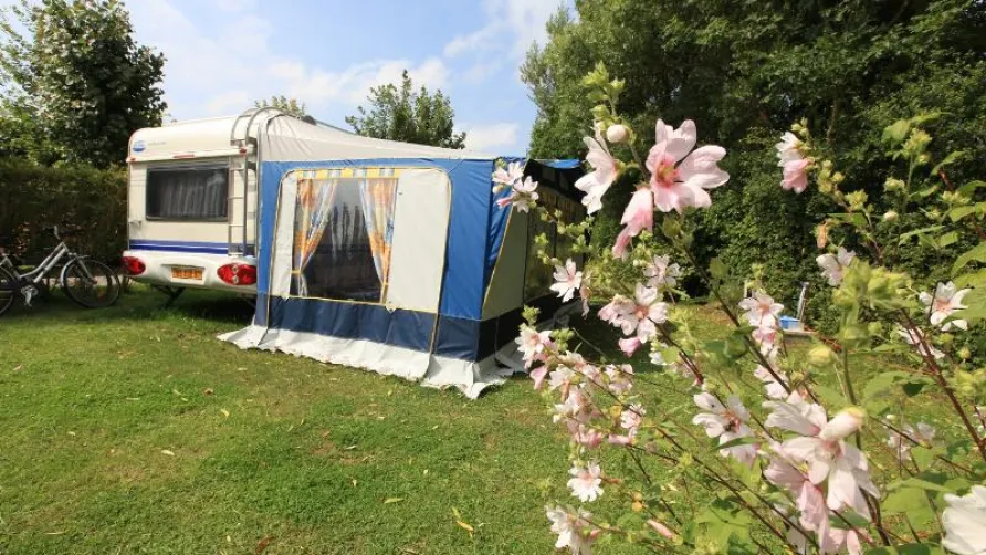 Flower Camping Les Vertes Feuilles
