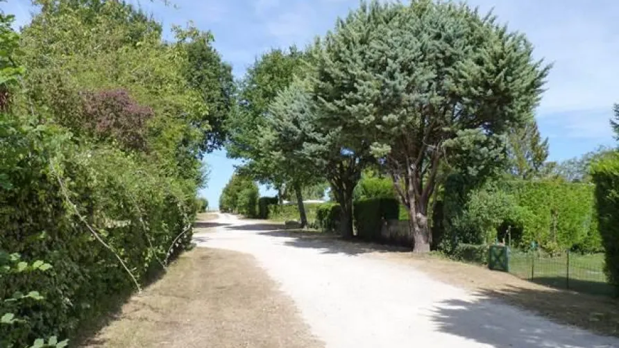 Camping LE NID VERT