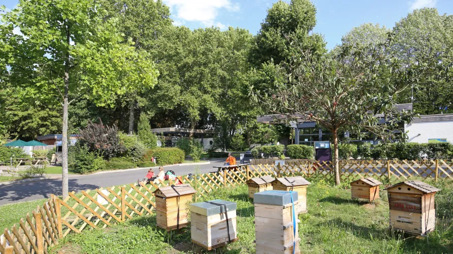 Camping de Paris
