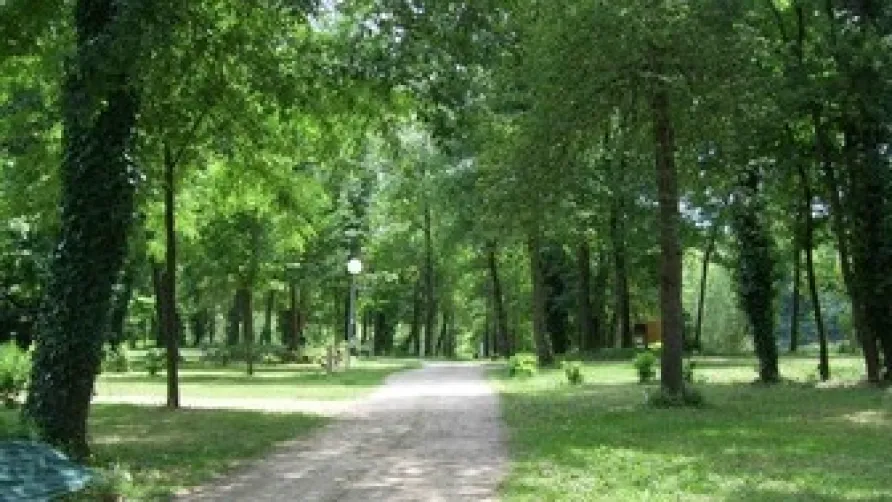 Camping LES CHALETS SUR LA DORDOGNE