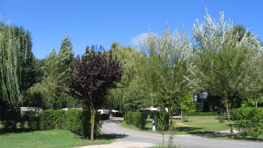 Camping les PEUPLIERS