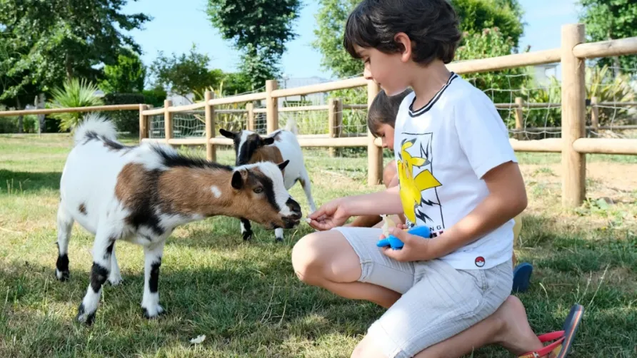 Camping Seasonova Haliotis