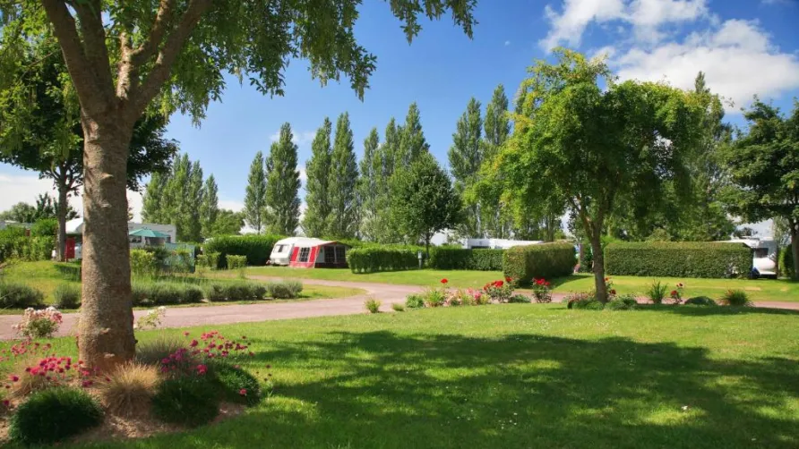 Camping Seasonova Haliotis