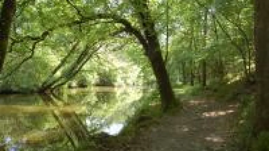 Camping de l'Hermitage
