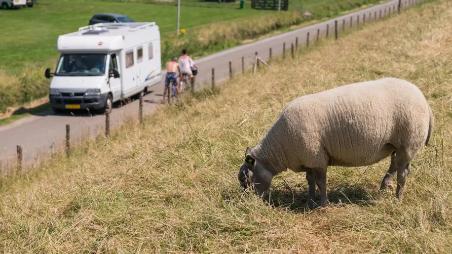 Camping 't Weergors