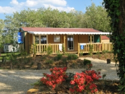 Flower Camping Les Nauves