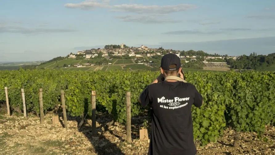 Camping Les Portes de Sancerre
