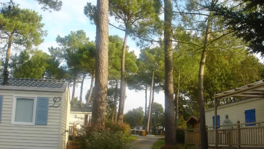 Camping de KERGO