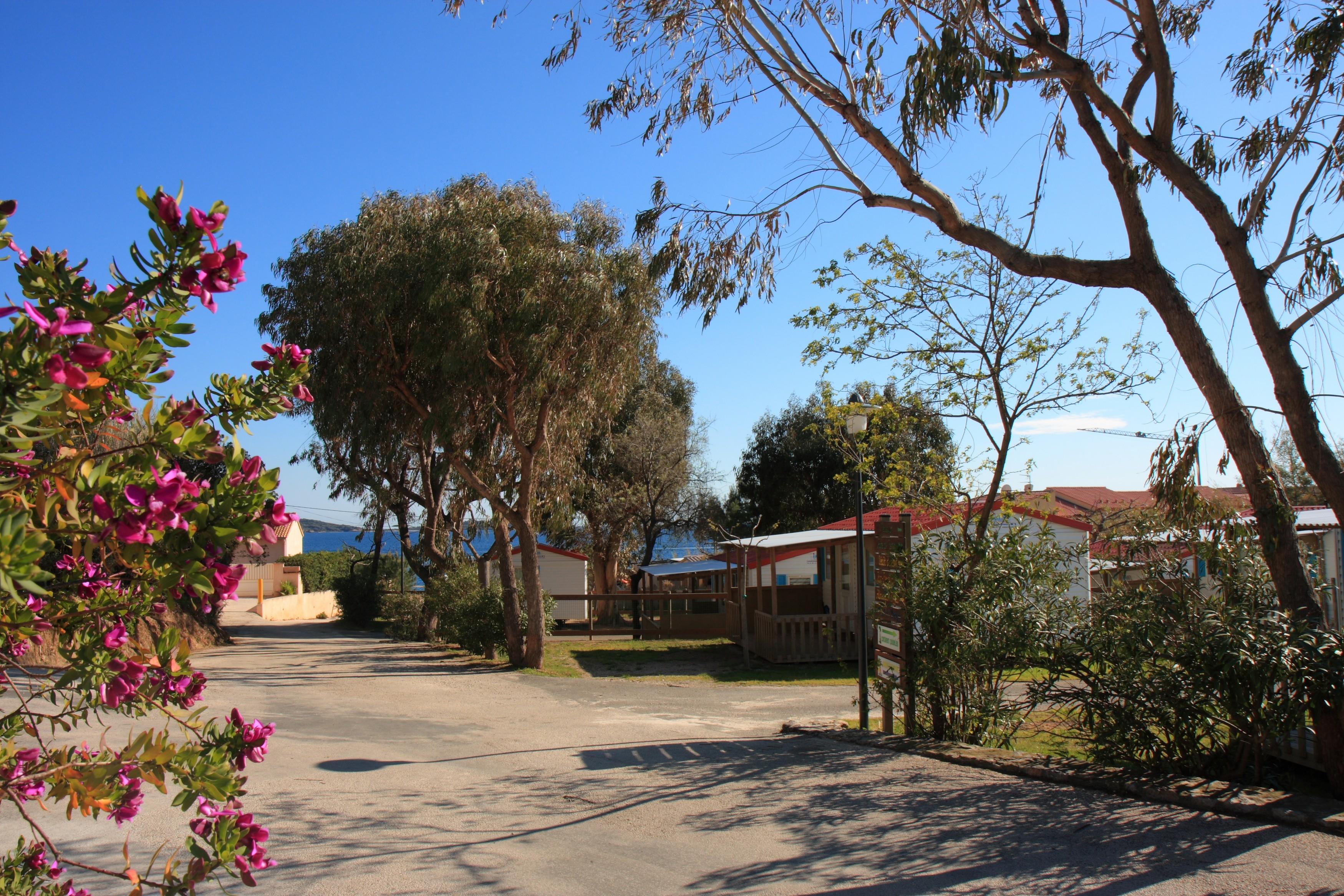 Camping LA TOUR FONDUE