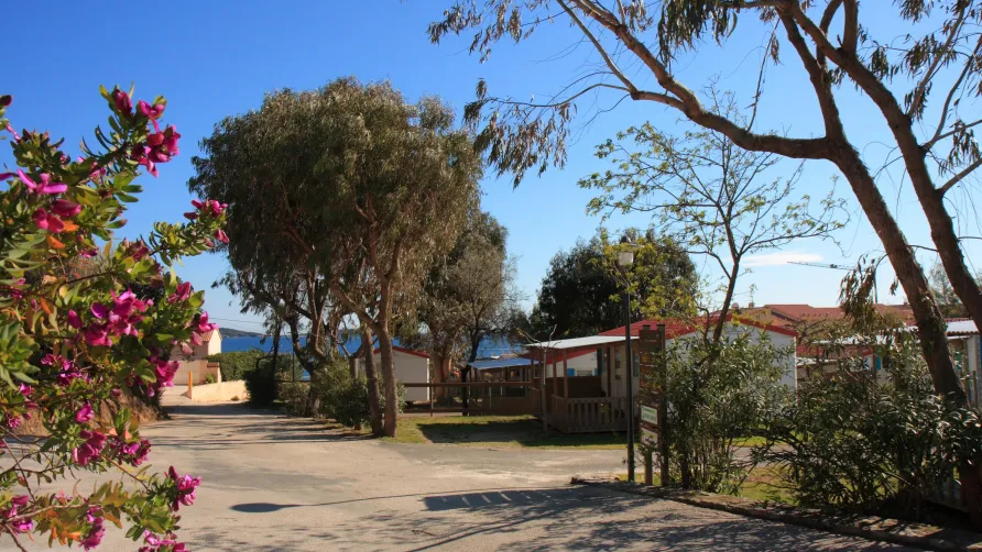 Camping LA TOUR FONDUE
