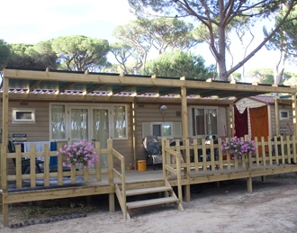 FAMILY PARK I Pini