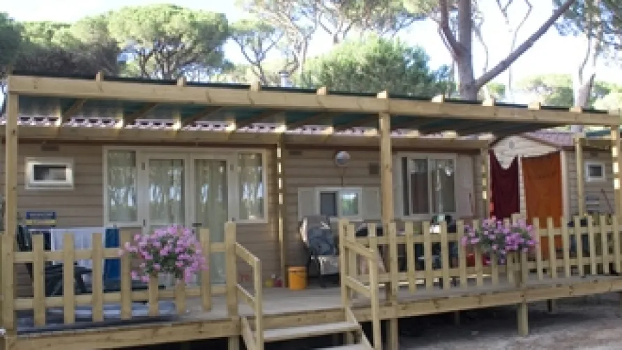 FAMILY PARK I Pini