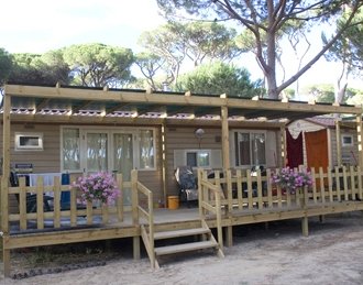 FAMILY PARK I Pini