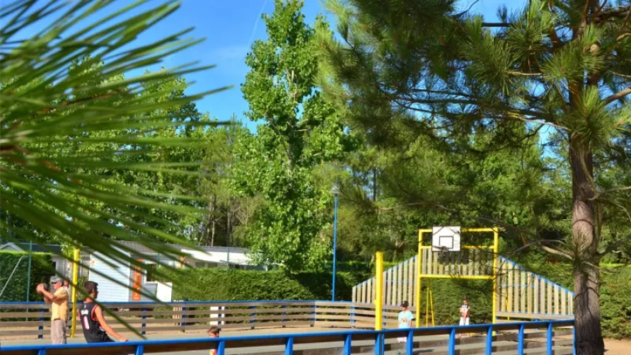 Plein Air Locations - camping Lou Pignada