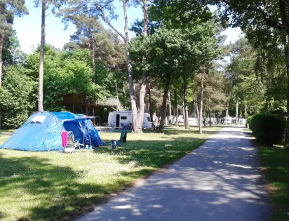 Héliomonde