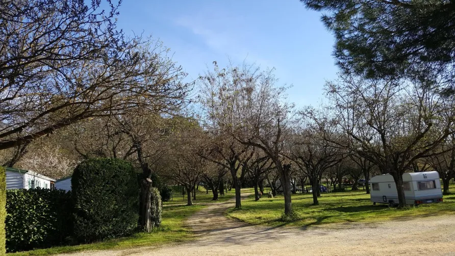 Camping le Pontet - ARDECHE