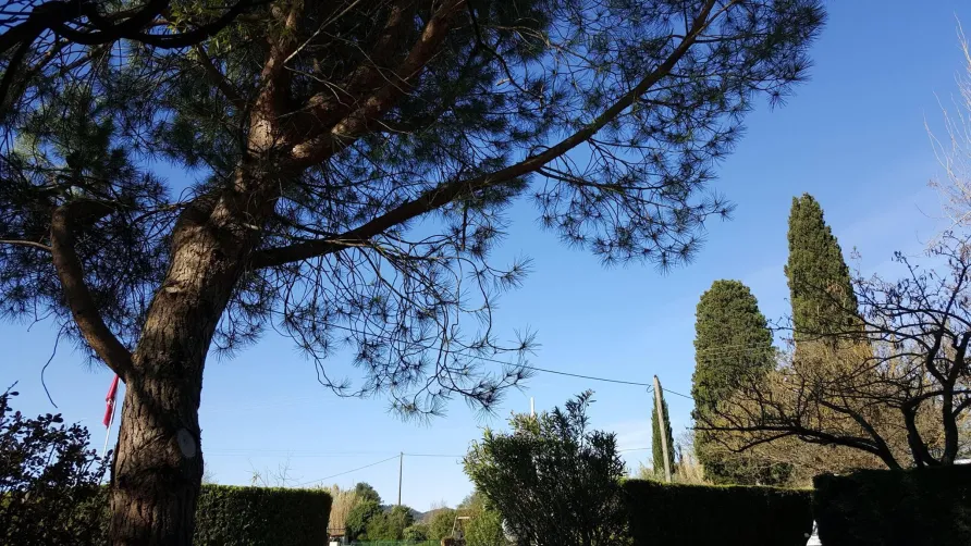Camping le Pontet - ARDECHE