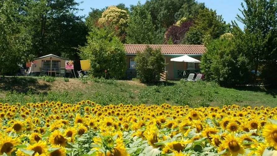 Le Camp de Florence