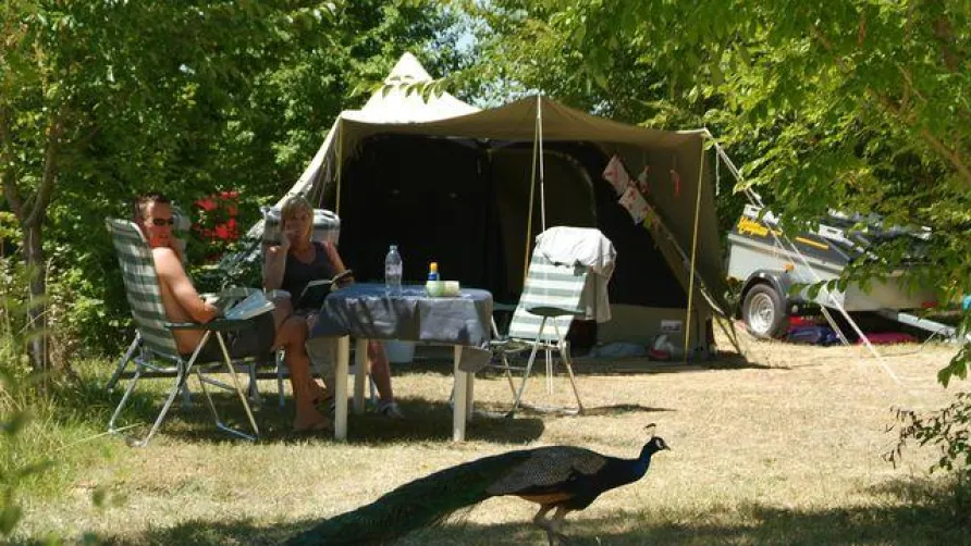 Le Camp de Florence