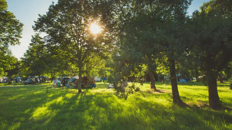Camping de PEYROCHE