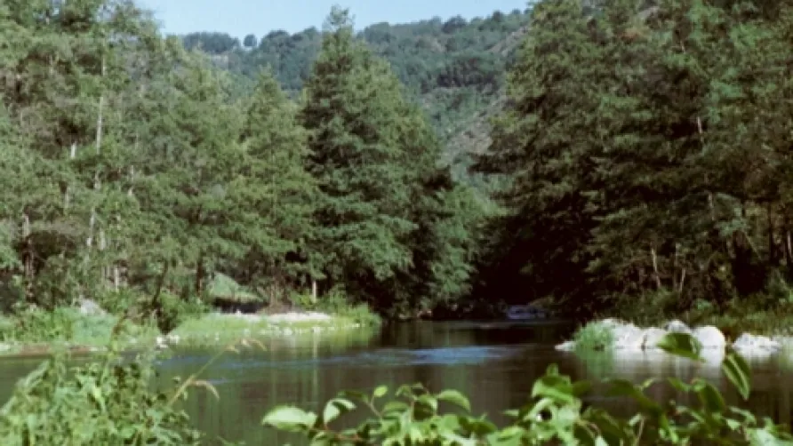 Camping Les Berges Du Doux