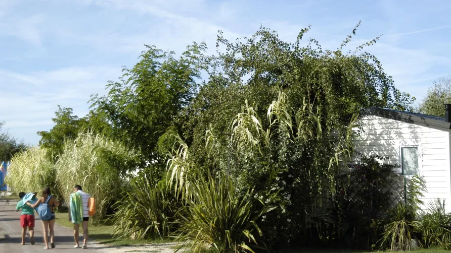Camping Antioche d'Oléron