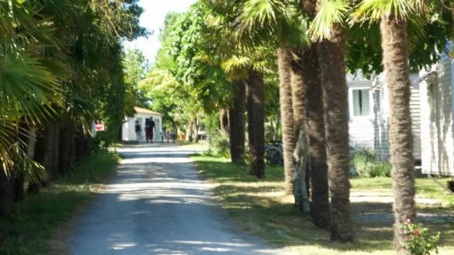 Camping Les Embruns d'Oléron