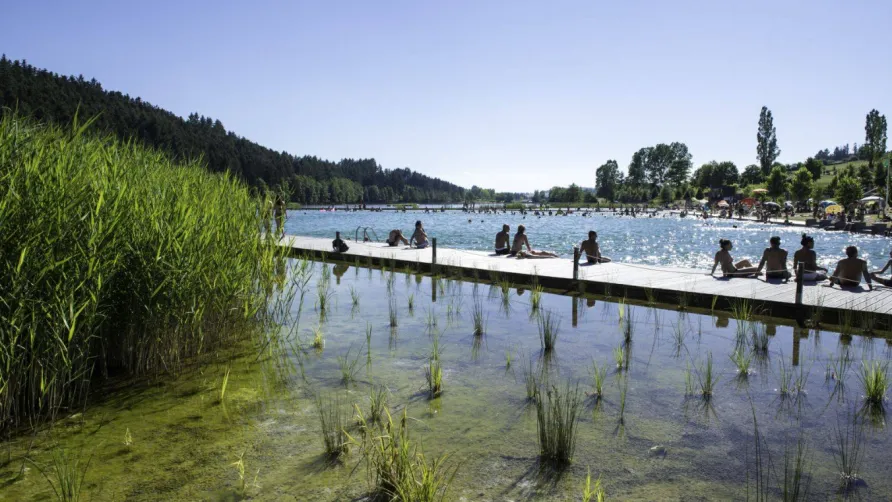 Le Lac des Sapins