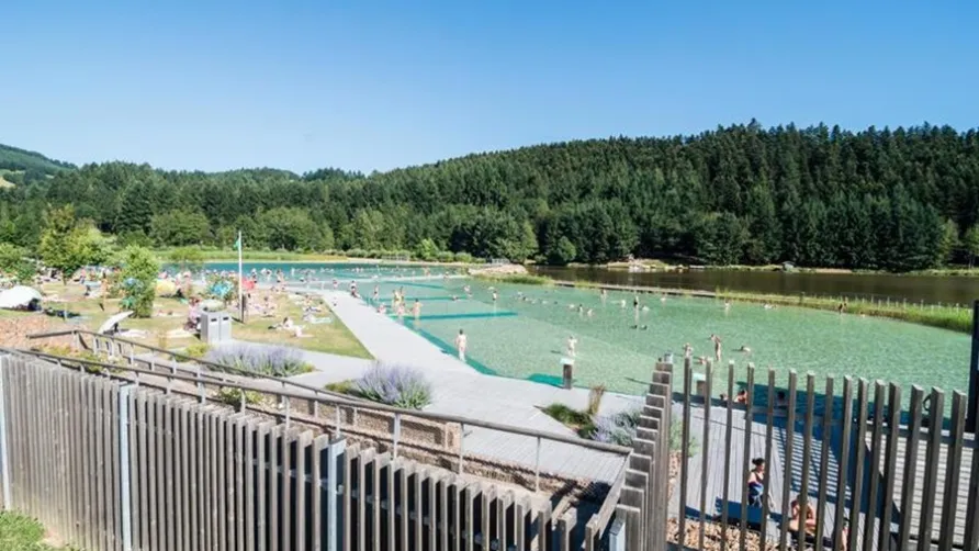 Le Lac des Sapins
