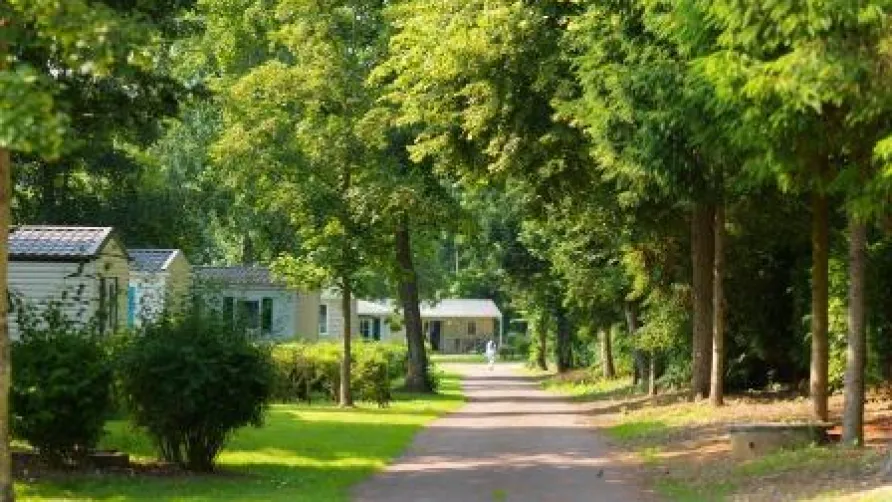 YELLOH! VILLAGE - Domaine de Drancourt