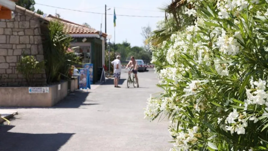 Camping Les Romarins