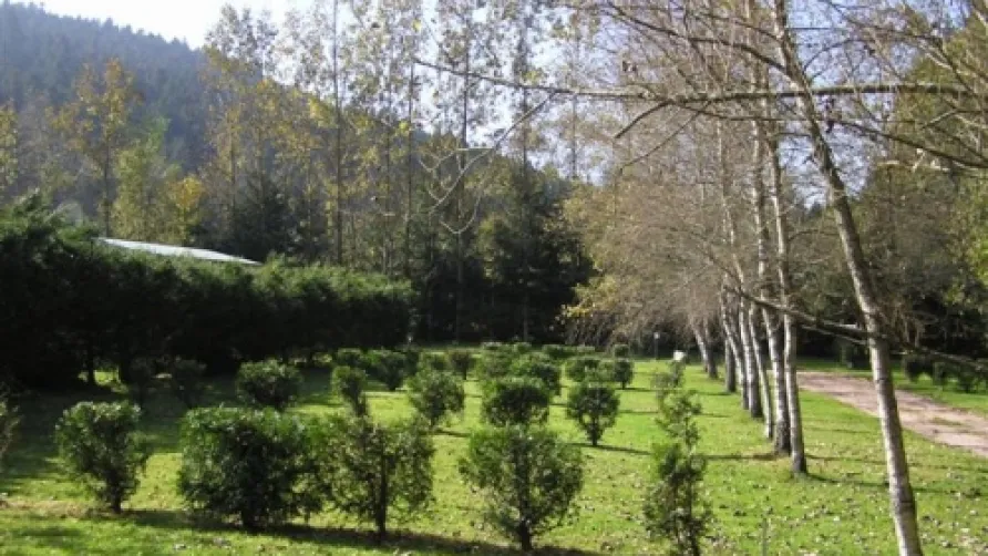 CAMPING LES GRANGES BAS