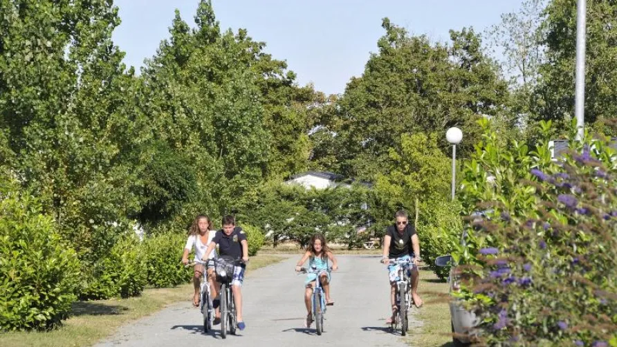 Camping Le Beaulieu