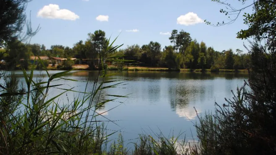 Camping Les Étangs Mina