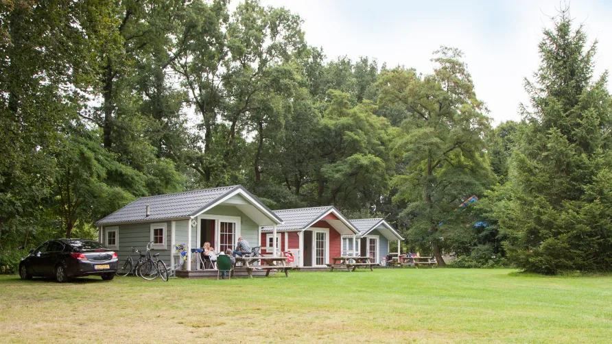 Vakantiepark Witterzomer