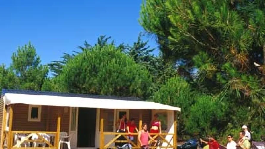 Camping Sandaya Lac De Sanguinet