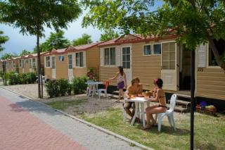 Roma Camping in Town